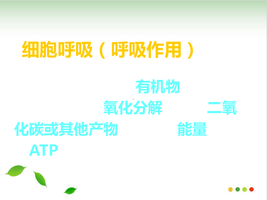 ATP的主要来源细胞呼吸课件整理.ppt_第3页