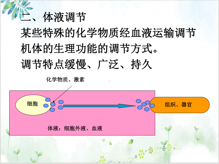 神经体液对机体运动的调节培训讲义课件.ppt_第2页