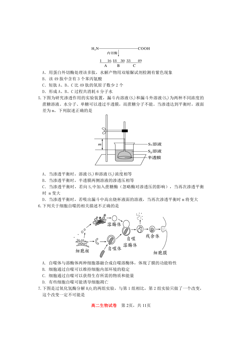 重庆市巴蜀 2022-2023学年高二上学期期中考试 生物.pdf_第2页