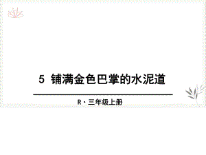 铺满金色巴掌的水泥道课件新教材优选.pptx