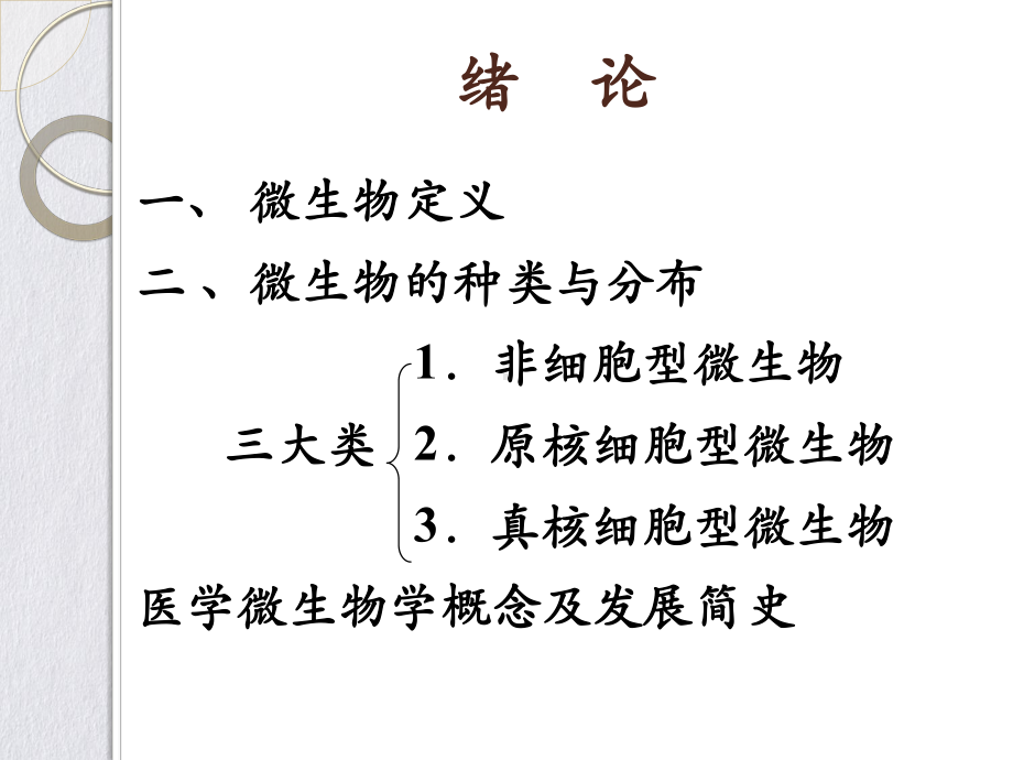 细菌的形态学课件.pptx_第2页