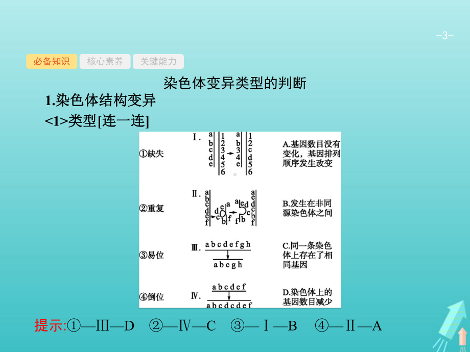 2021版高考生物一轮复习第23讲染色体变异及生物育种课件新人教版.pptx_第3页