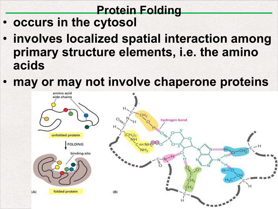 昆医分生蛋白质分子建模与设计新版课件.ppt_第3页