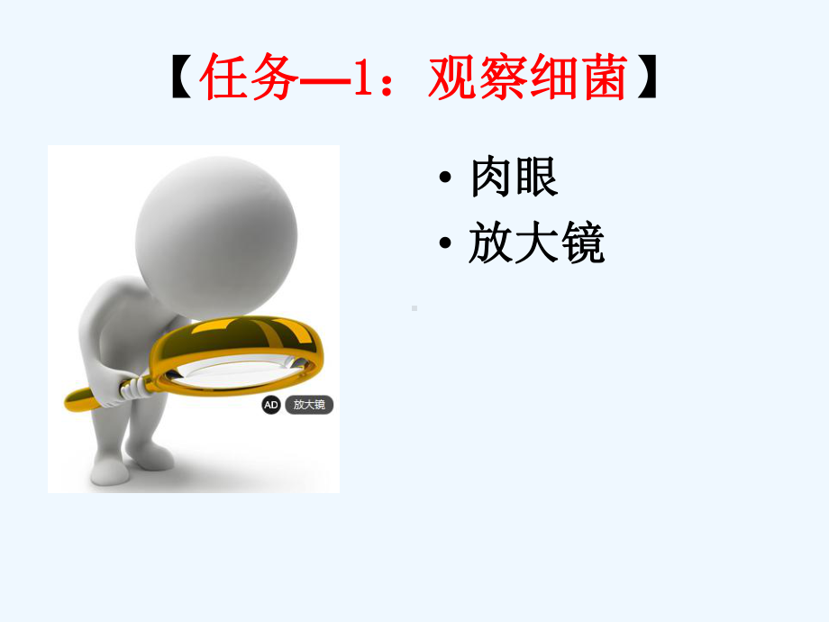 细菌真菌的分布新课课件.ppt_第3页