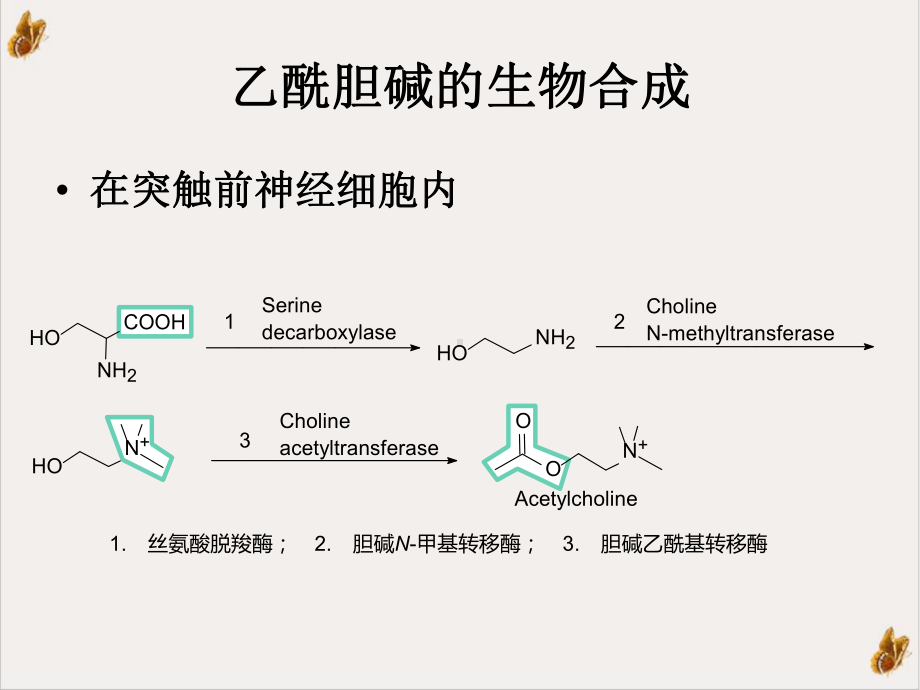 第十章拟胆碱和抗胆碱药课件.ppt_第3页