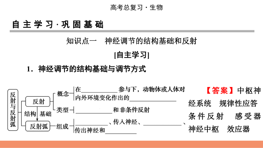 2022届新高考生物人教版一轮复习课件：第8单元-第2讲-通过神经系统的调节.pptx_第3页