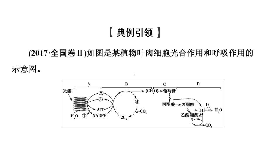 2022届高考统考生物人教版一轮复习课件：必修1-第3单元-素养加强课2-光合作用与细胞呼吸的综合.ppt_第2页