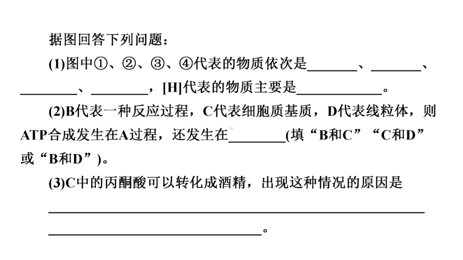 2022届高考统考生物人教版一轮复习课件：必修1-第3单元-素养加强课2-光合作用与细胞呼吸的综合.ppt_第3页