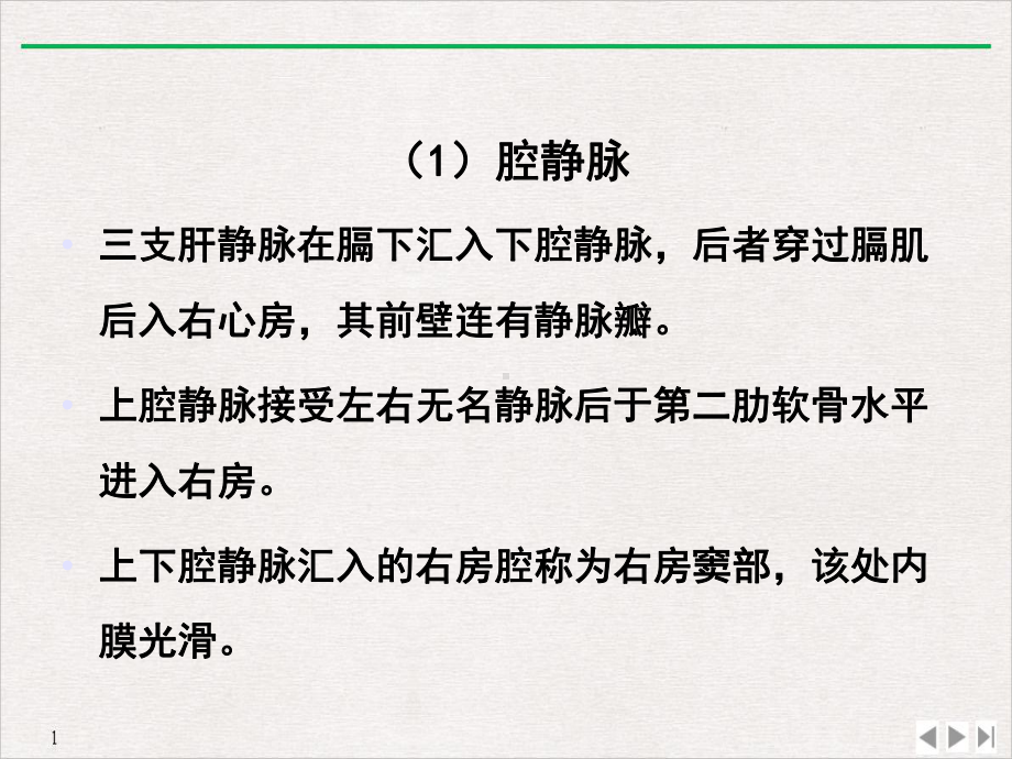 超声心动图的应用解剖及表准化测量标准课件.ppt_第3页