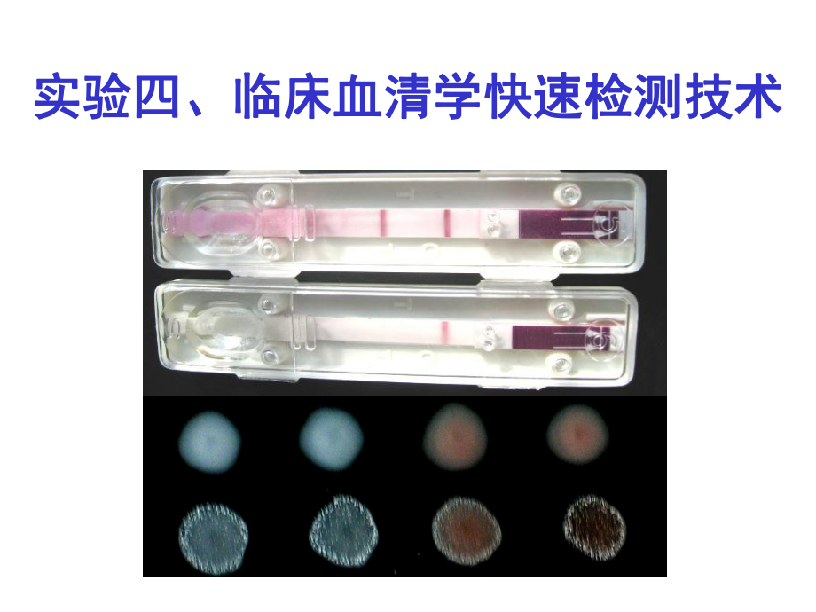 (动物传染病学实验课件)5-临床血清学快速检测技术.ppt_第1页