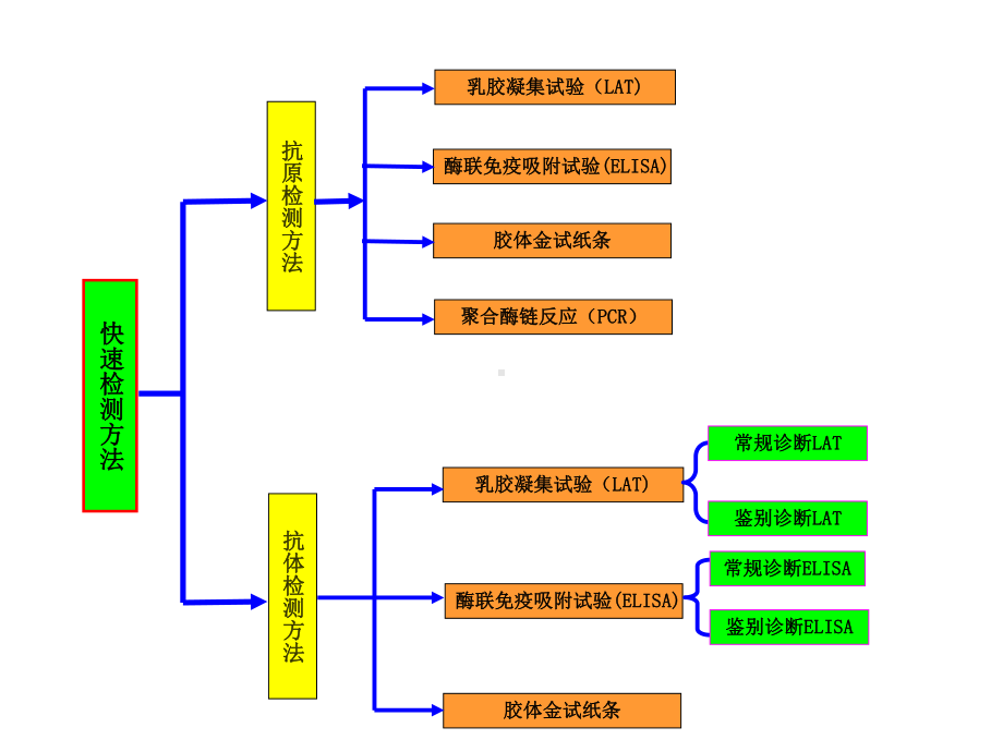 (动物传染病学实验课件)5-临床血清学快速检测技术.ppt_第3页