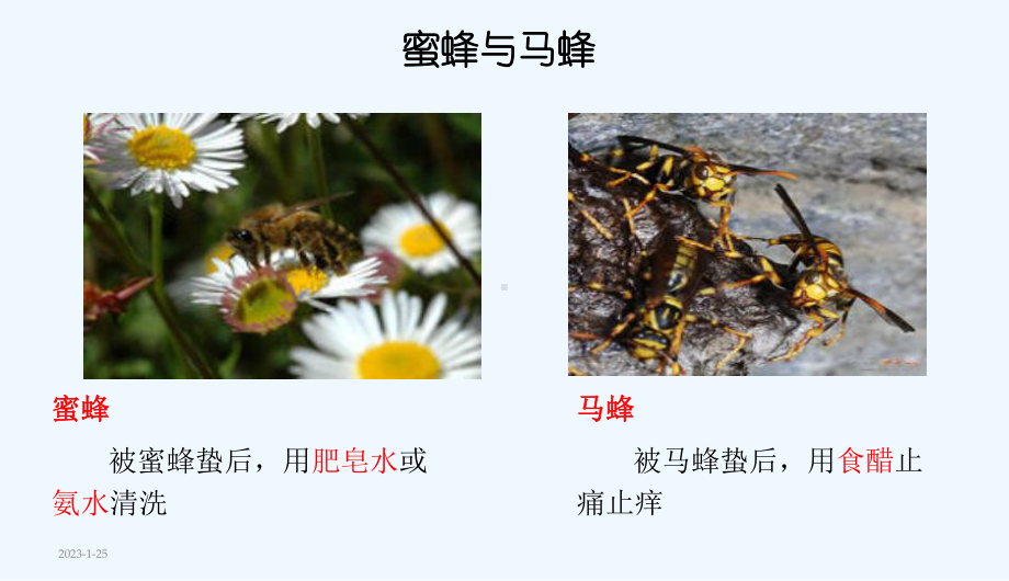 课题二酸和碱的中和反应课件.ppt_第2页