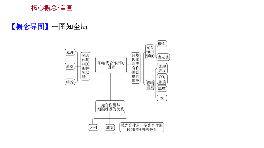 2022版高考生物一轮复习人教版课件：第三单元-第4课-影响光合作用的因素及光合作用和细胞呼吸的关系.ppt_第2页