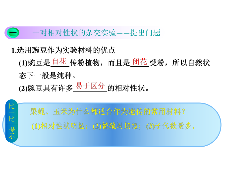 最新基因的分离定律课件.ppt_第2页