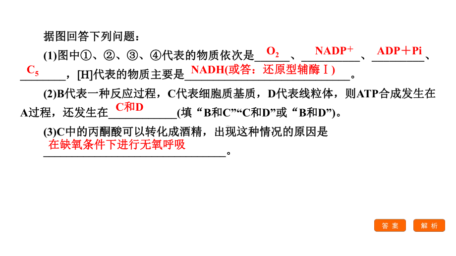 2021高考生物课标全国版一轮课件：复习提升课4-光合作用与细胞呼吸的综合应用.ppt_第3页