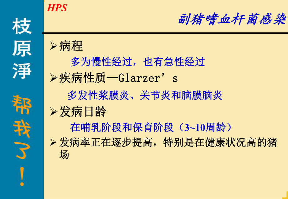 awl副猪嗜血杆菌病优秀课件.ppt_第1页