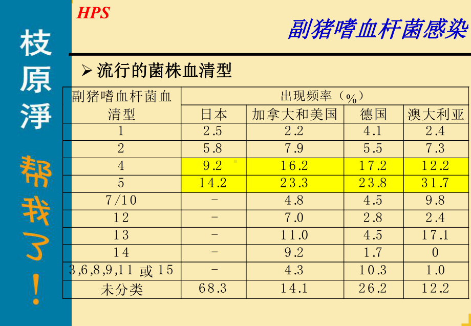 awl副猪嗜血杆菌病优秀课件.ppt_第3页