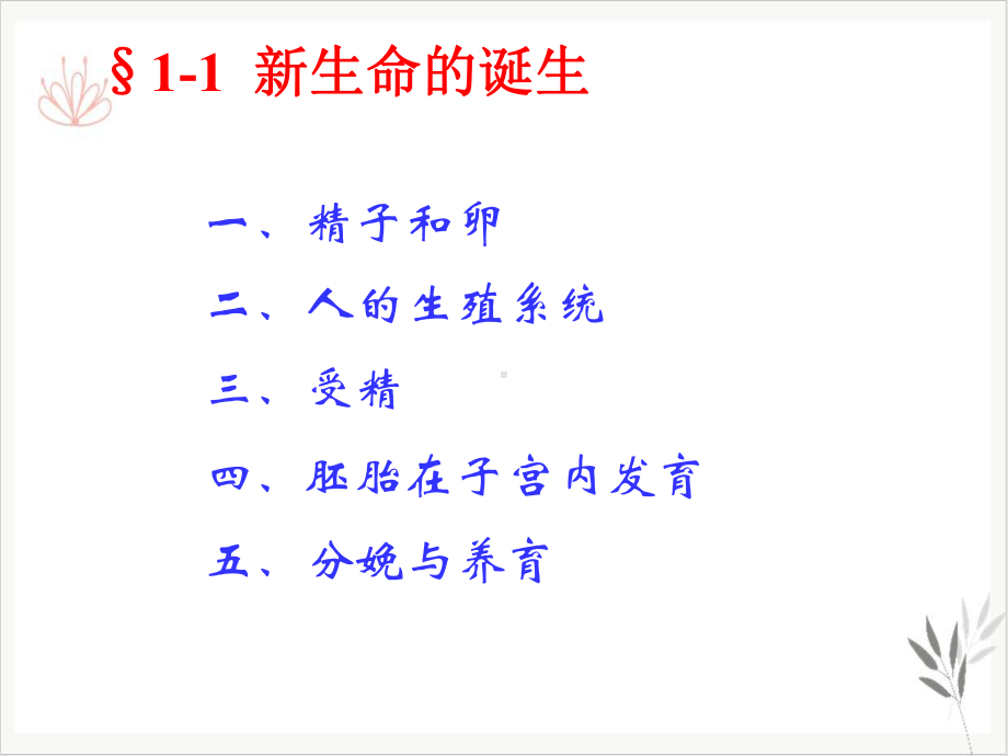 浙教版七年级下科学《新生命的诞生》优秀课件1.ppt_第2页