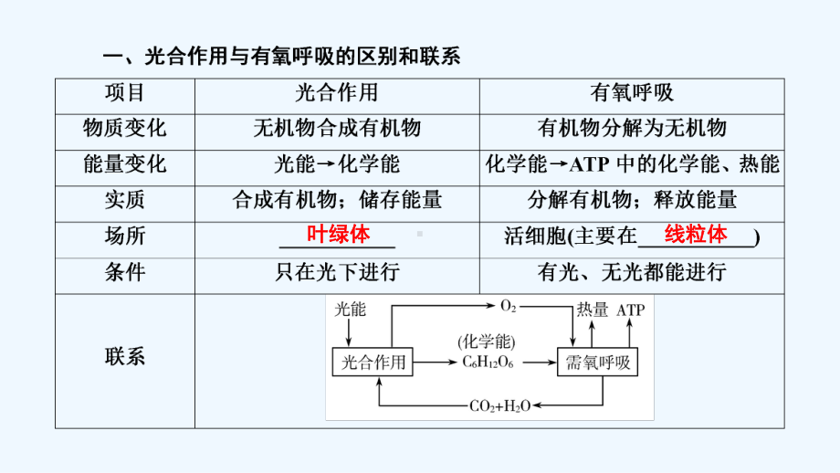 2022高考生物一轮复习第一部分必修基础巩固与提升第五章第七节光合作用和呼吸作用的关系课件新人教版.ppt_第2页