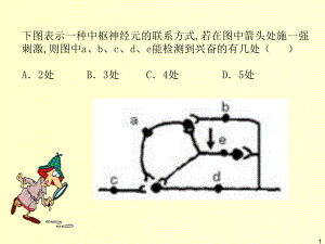 (精选)高等动物的内分泌系统与体液调节课件.ppt