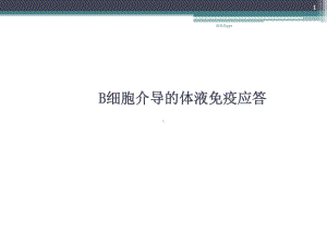 B淋巴细胞介导的体液免疫应答课件整理.ppt