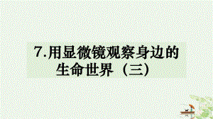 六年级下册科学课件17《用显微镜观察身边的生命世界三》教科版23.pptx