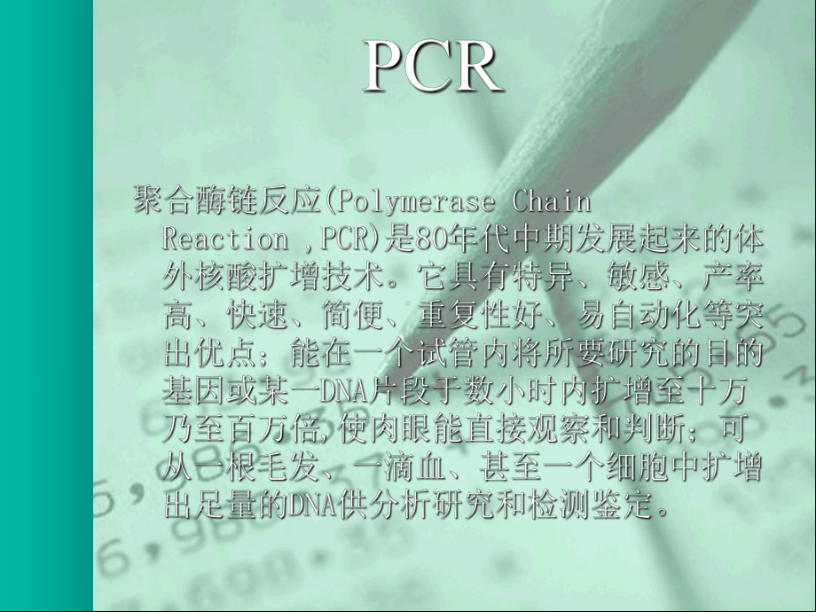 引物设计部分使用说明初学者超级推荐课件.ppt_第3页