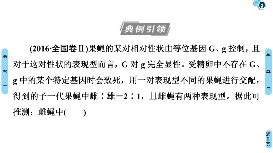 2021版新高考生物培优大一轮复习课件：必修2-第5单元-素养加强课5-基因在染色体上位置的判断与探.ppt_第2页