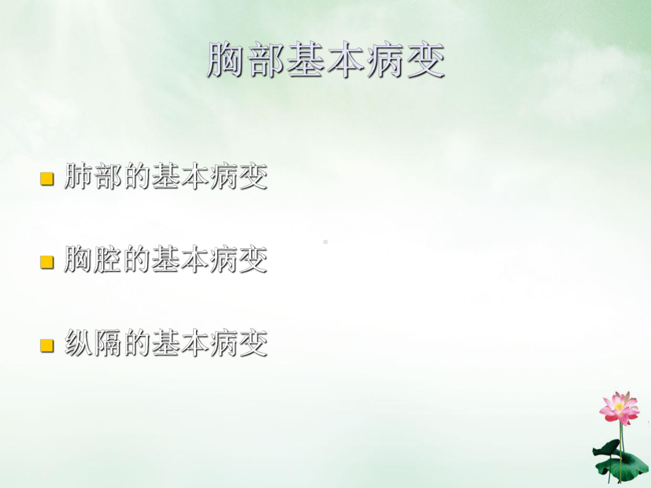 胸部总论课件.ppt_第2页