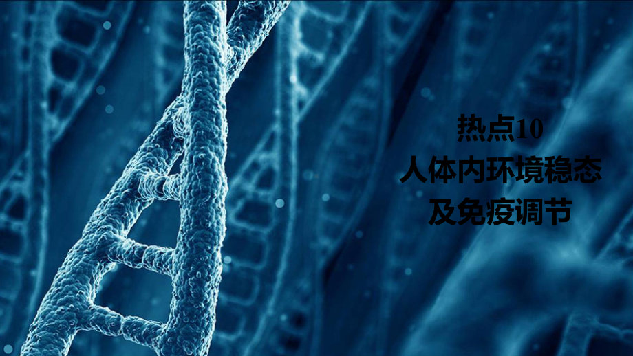 2021高考生物通用一轮练习课件：第二编-热点10-人体内环境稳态及免疫调节.ppt_第1页