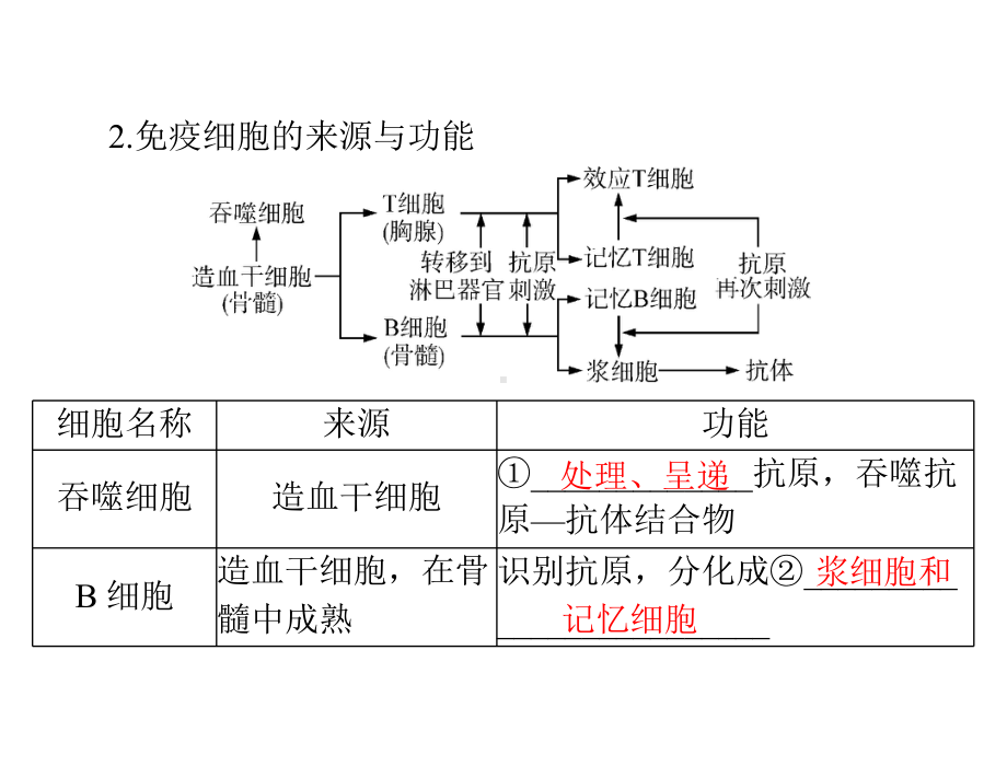 2022届新高考生物通用版总复习一轮课件：必修3-第2章-第4节-免疫调节.ppt_第2页