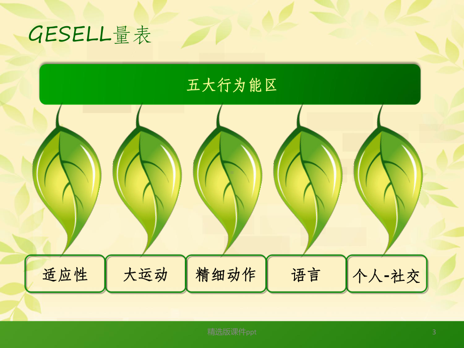 06岁儿童GESELL发育诊断法临床实操技术课件.ppt_第3页