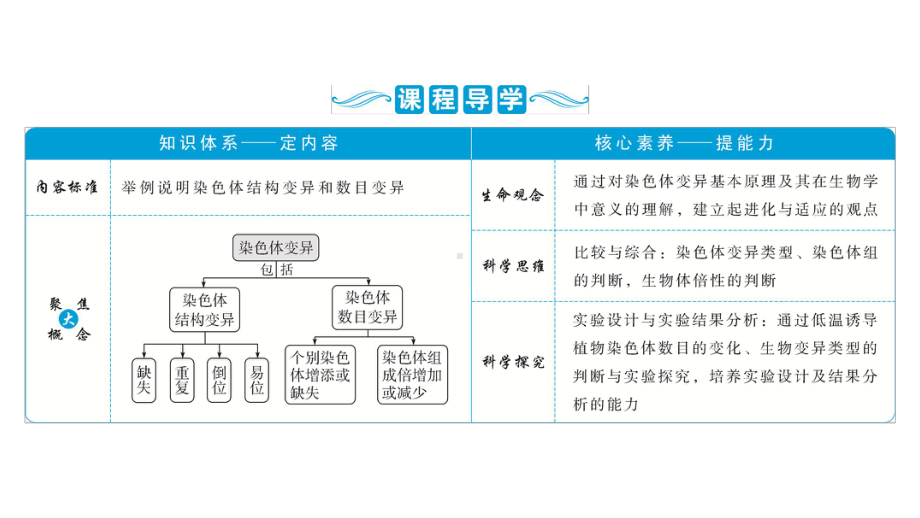 2021版新高考选考生物一轮复习通用版课件：第21讲-染色体变异.ppt_第2页