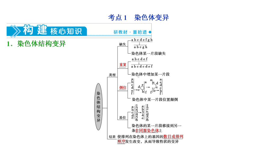 2021版新高考选考生物一轮复习通用版课件：第21讲-染色体变异.ppt_第3页