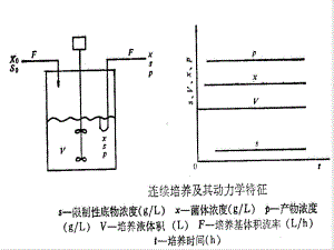 生化工程连续培养动力学实用版课件.pptx