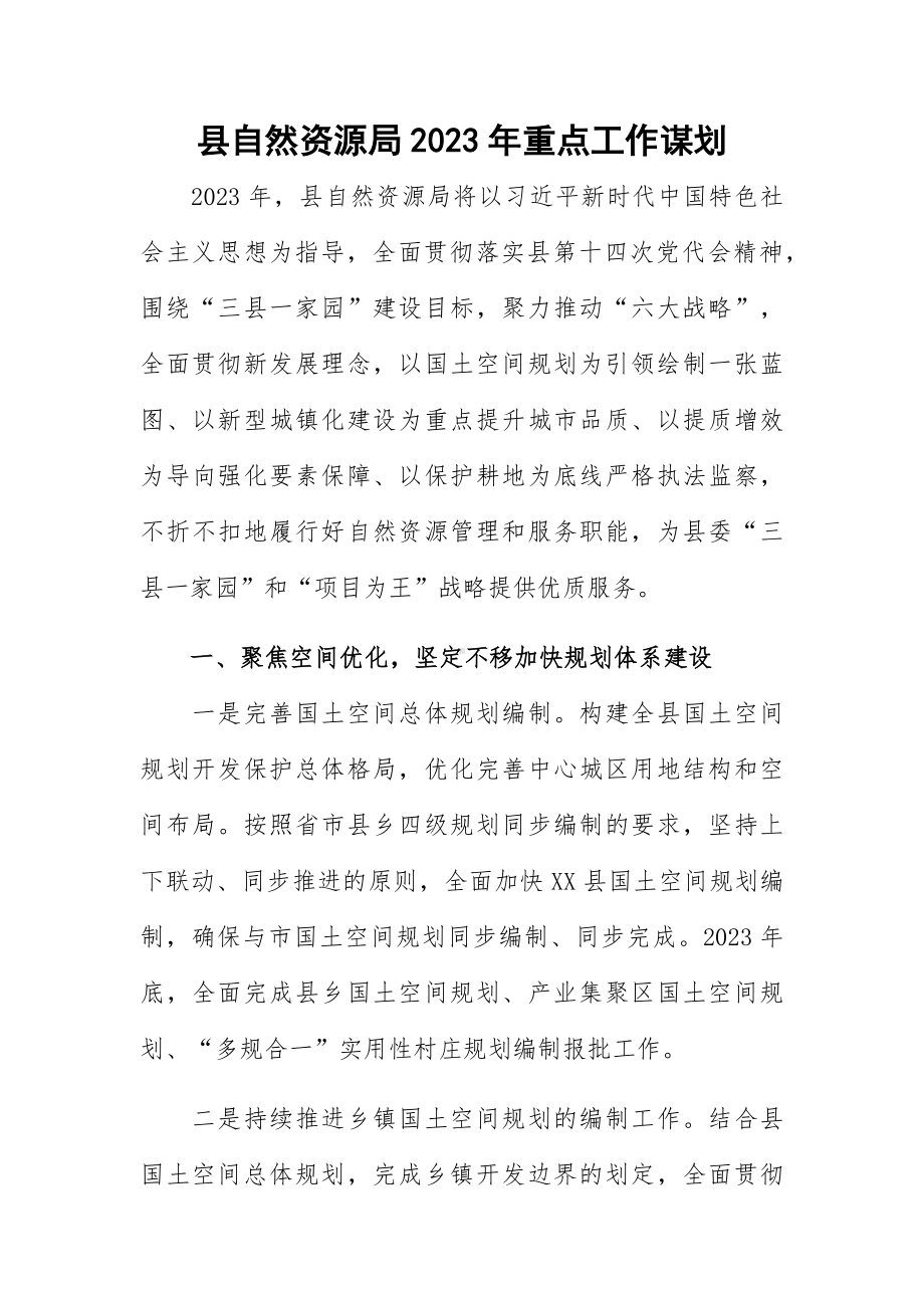 县自然资源局2023年重点工作谋划.docx_第1页