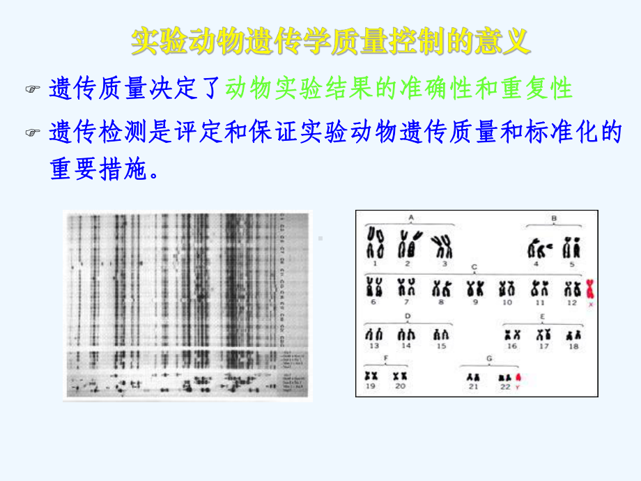 实验动物遗传学分类与控制授课讲义课件.ppt_第3页