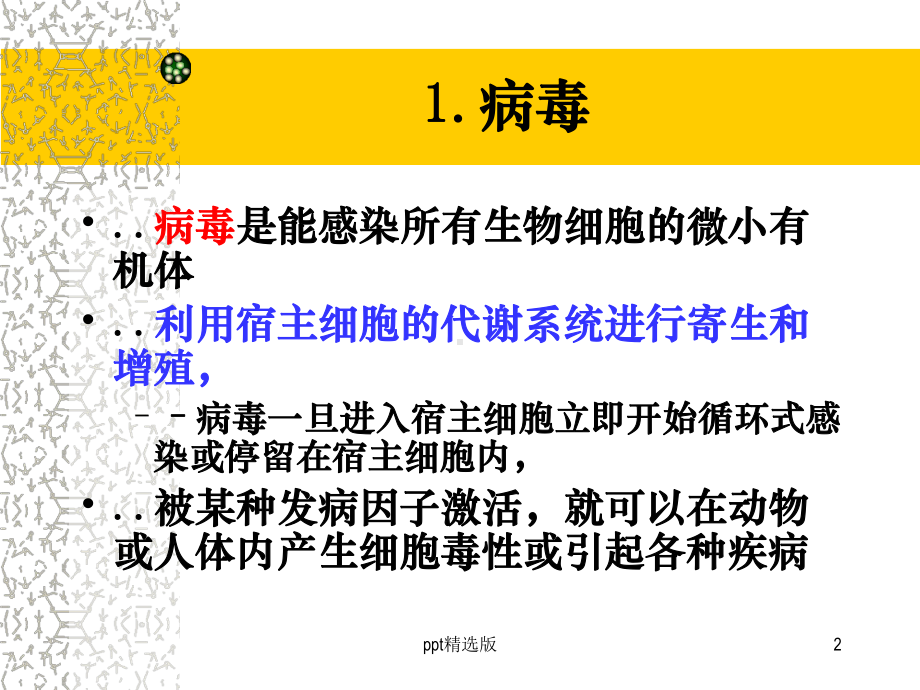 抗病毒药物精精选课件.ppt_第2页