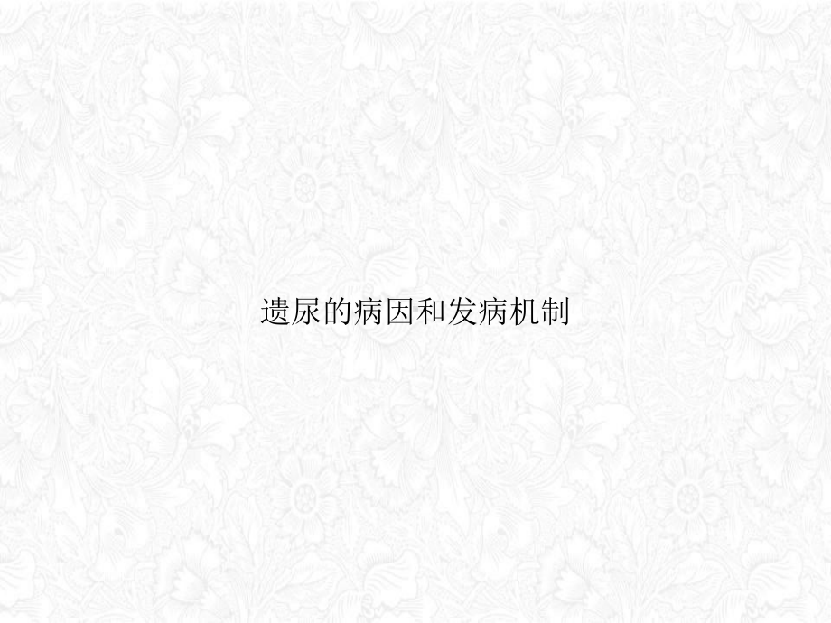 遗尿的病因和发病机制课件.ppt_第1页