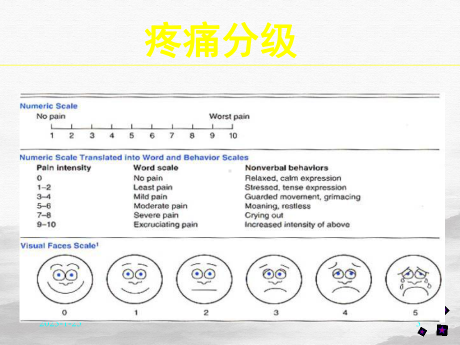 镇痛药解析课件.pptx_第3页