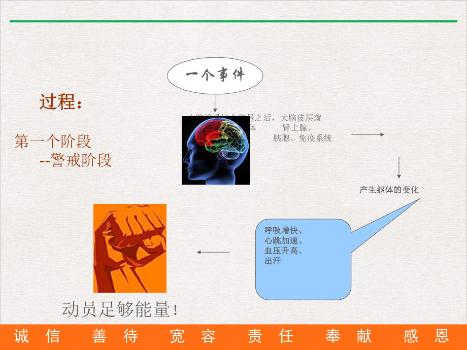 氨基丁酸养生的完美课课件.pptx_第2页