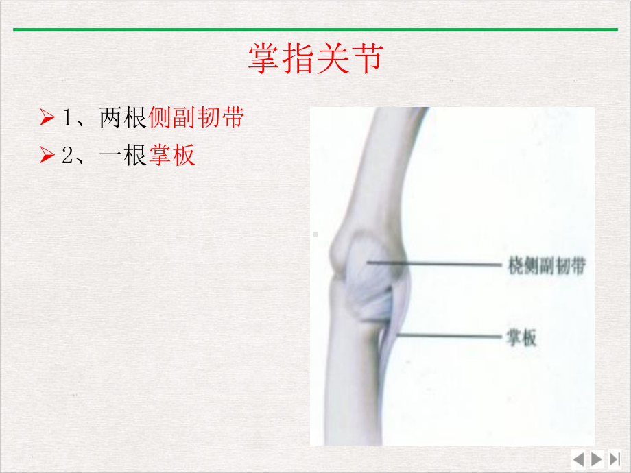 手指肌腱MR课件精美版.pptx_第2页