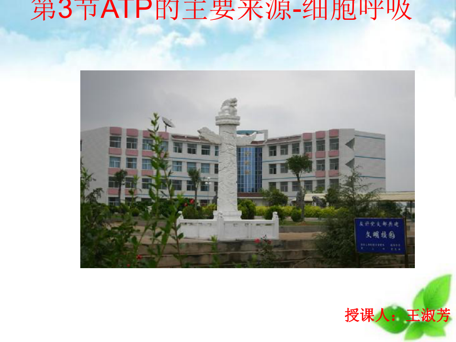 ATP的主要来源-细胞呼吸课件(自制)22.ppt_第1页