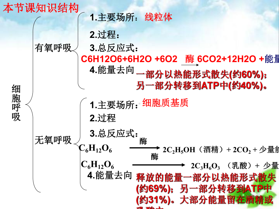 ATP的主要来源-细胞呼吸课件(自制)22.ppt_第2页