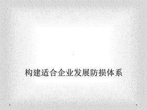 构建适合企业发展防损体系课件.ppt