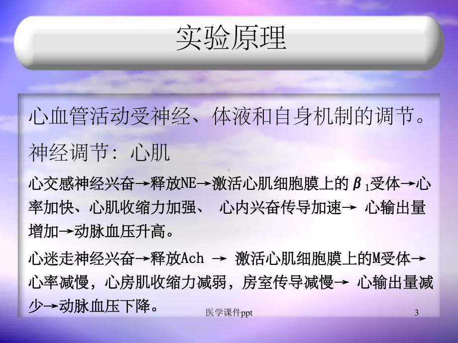 《影响动脉血压的因》课件.ppt_第3页