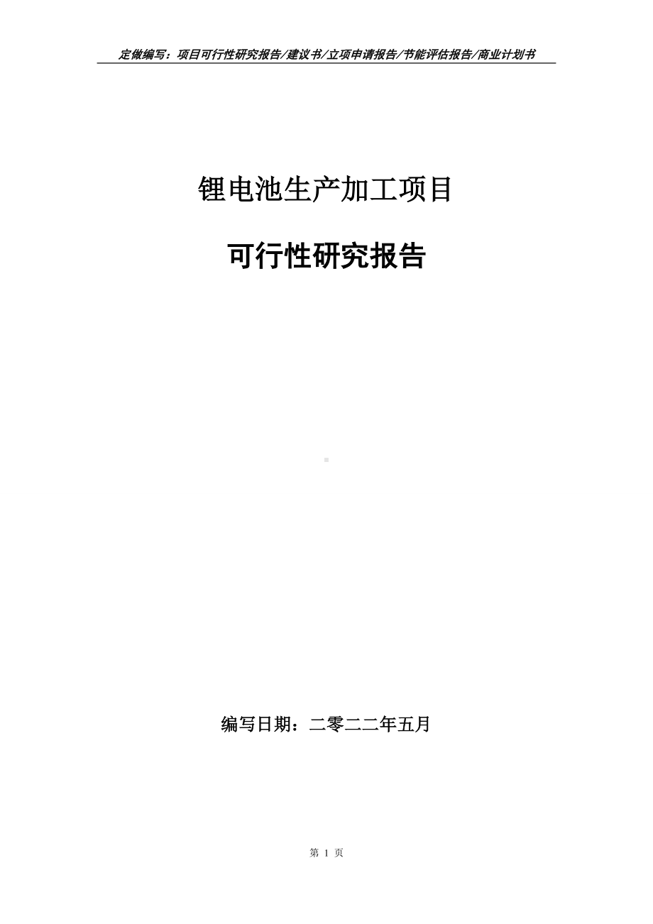 锂电池生产加工项目可行性报告（写作模板）.doc_第1页