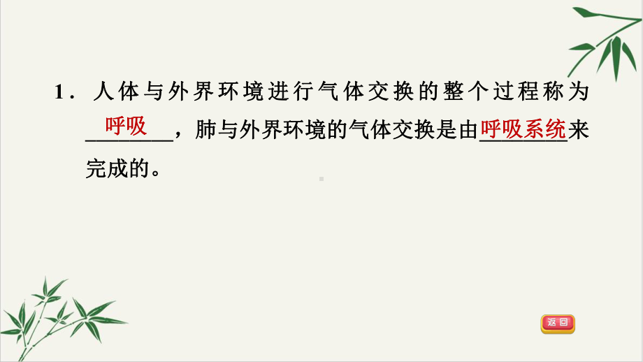 人体呼吸系统的结构和气体交换浙教版八级科学下册习题课件讲义.ppt_第3页