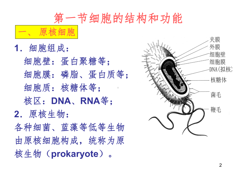 chapter3遗传的染色体学说课件.ppt_第2页