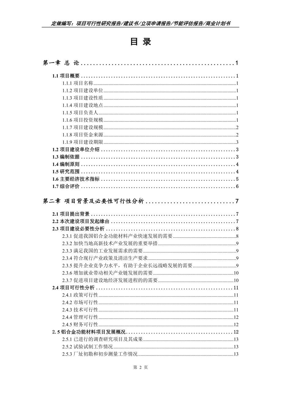 铝合金功能材料项目可行性报告（写作模板）.doc_第2页